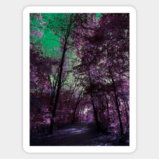 Majestic Fantasy Fall Wooded Trail Scene with Pink Foliage - Indian Creek Trail Kansas City Sticker